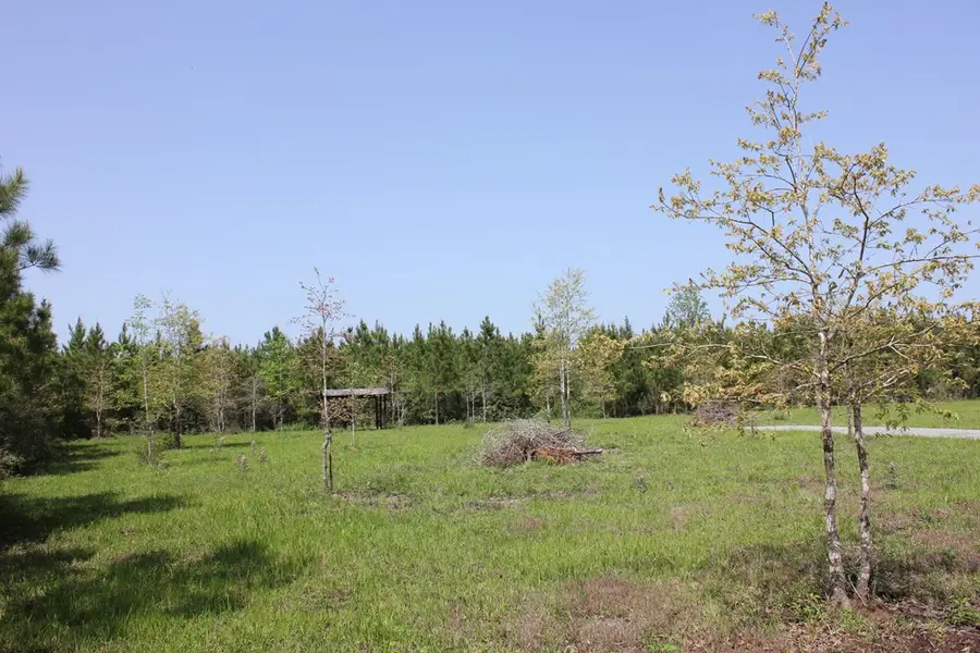 795 Cc Road, Diboll, TX 75941 - #3