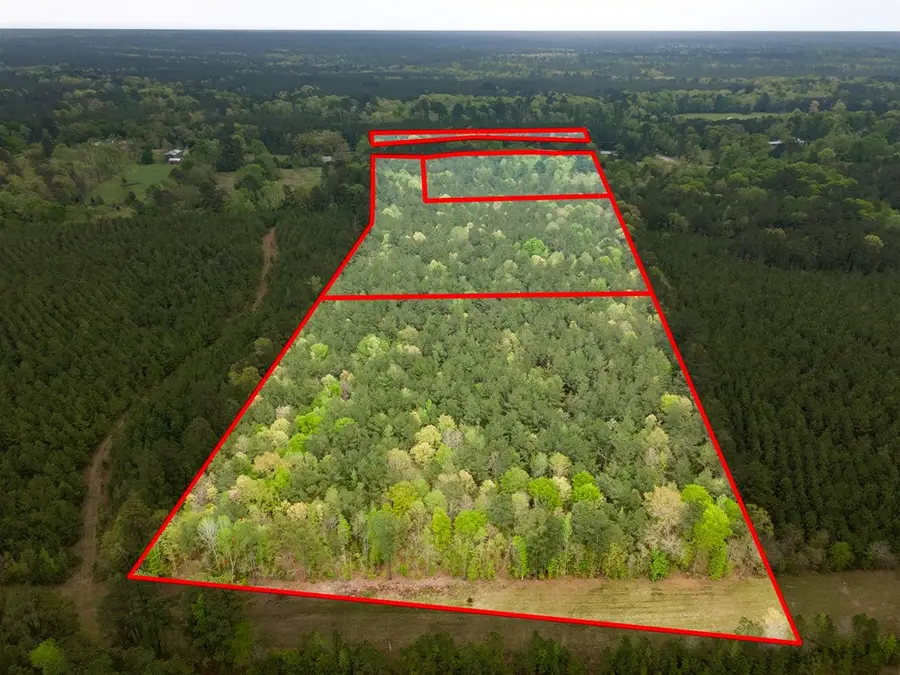 201-b Magasco Drive, Pineland, TX 75968 - #3