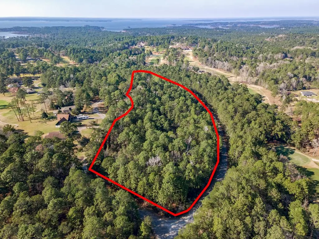 387 Masters Blvd, Brookeland, TX 75931 - #1