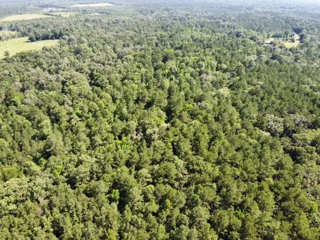 AB 247-2 Cr 416, San Augustine, TX 75972 - #2