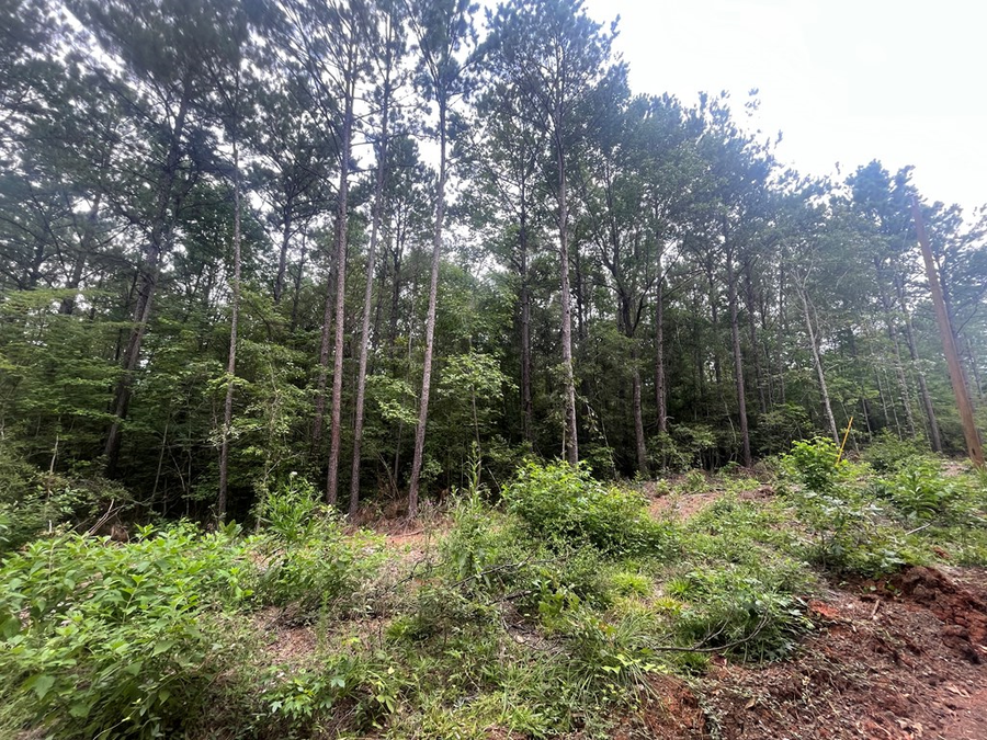 TRACT 57 Fm 1751, San Augustine, TX 75972 - #3