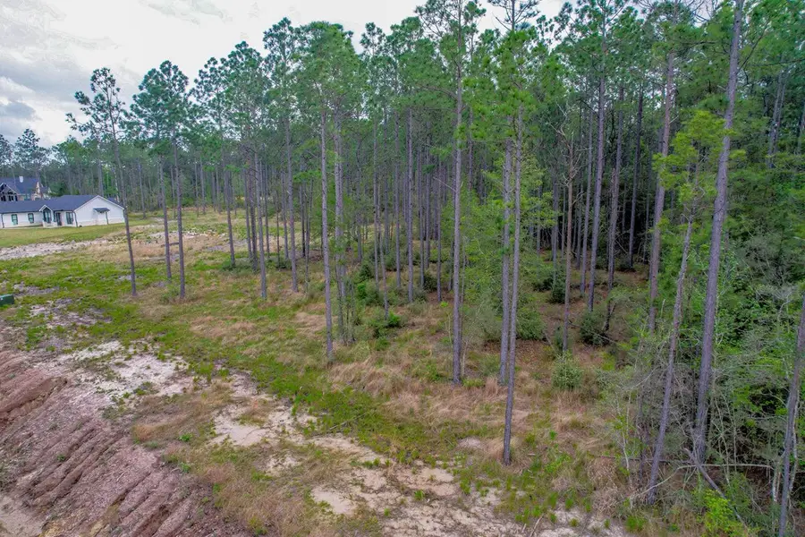 139 Crazy Horse Drive, Brookeland, TX 75931 - #2