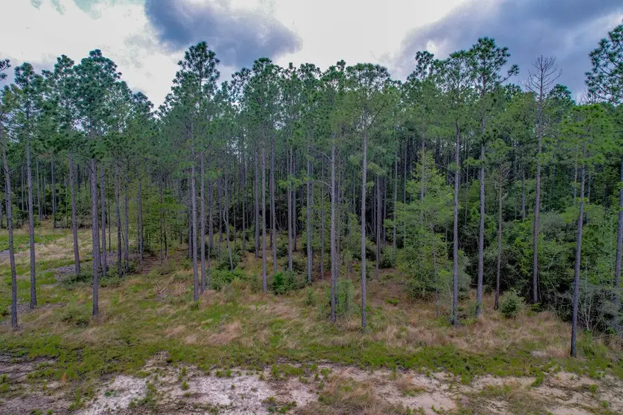 139 Crazy Horse Drive, Brookeland, TX 75931 - #3