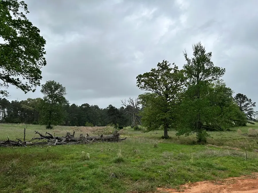 Lot 203 Overhill Court, Hillister, TX 74904 - #2
