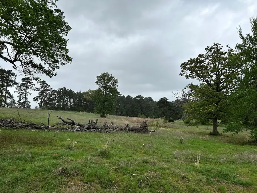 Lot 203 Overhill Court, Hillister, TX 74904 - #3