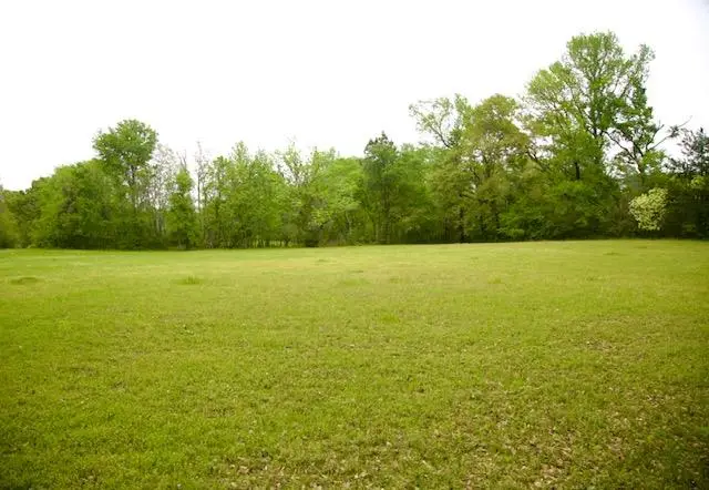 185 Hearne Rd, Corrigan, TX 75939 - #1