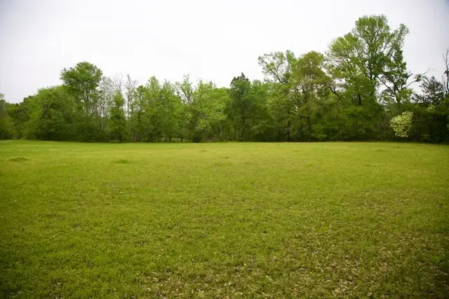 185 Hearne Rd, Corrigan, TX 75939 - #3