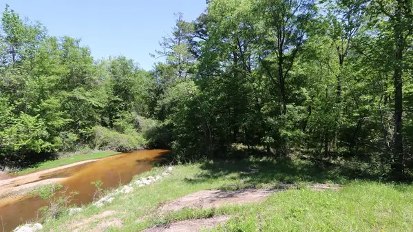 13199 State Highway 87 N, Burkeville, TX 75932