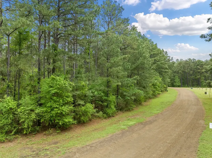 261 Private Rd 8525, Broaddus, TX 75929 - #3