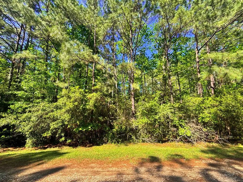 PID# 32271 Champions Way, Brookeland, TX 75931 - #1