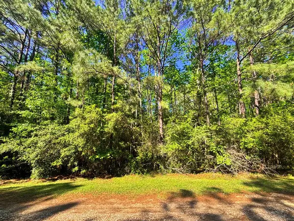 PID# 32271 Champions Way, Brookeland, TX 75931