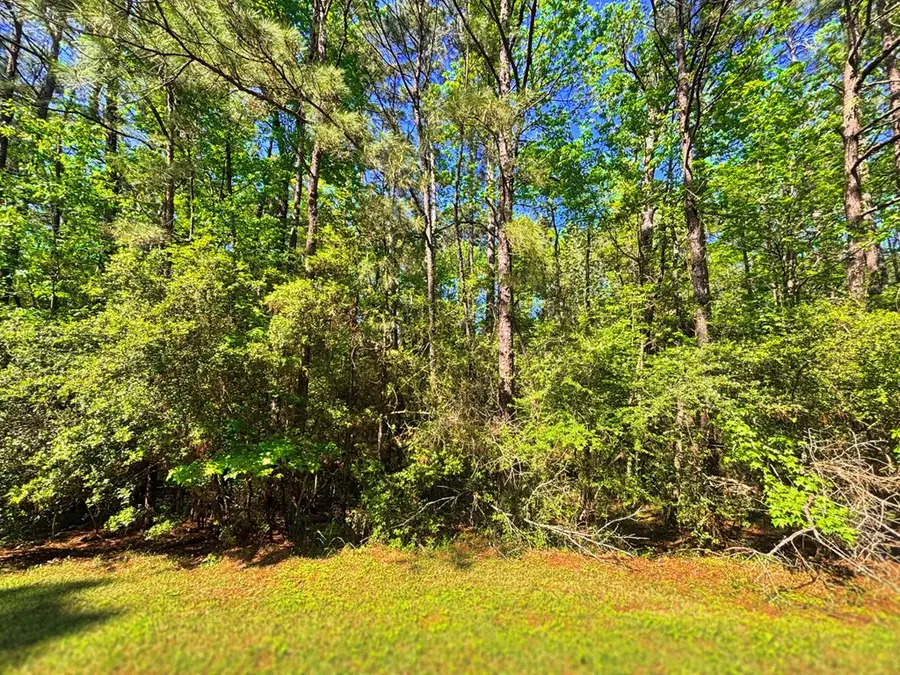 PID# 32271 Champions Way, Brookeland, TX 75931 - #2