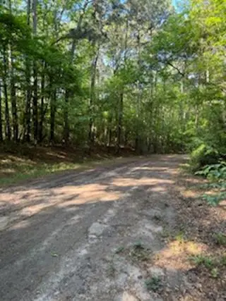 310 Dolphin Drive, Hemphill, TX 75948 - #1