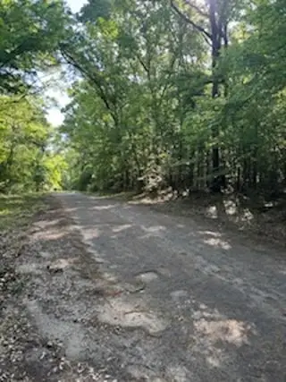 310 Dolphin Drive, Hemphill, TX 75948 - #3