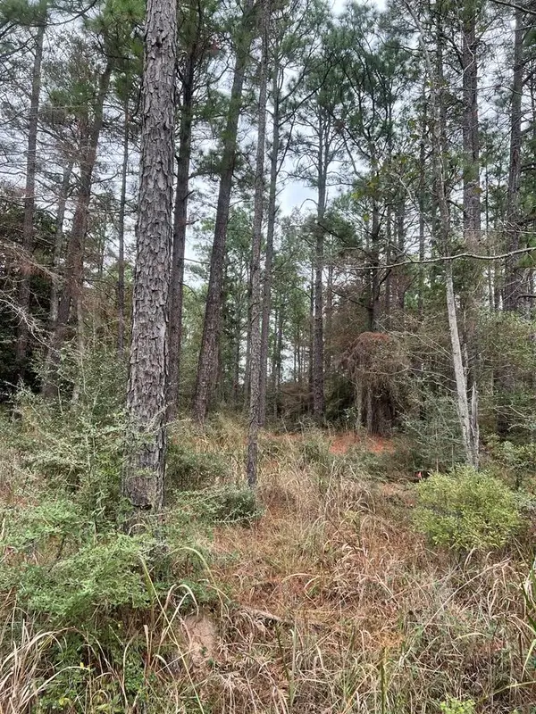 118 Teak Lane, Brookeland, TX 75931