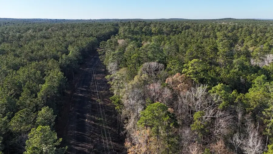 R12357 - Lot 70 Fm 705, Broaddus, TX 75929 - #3