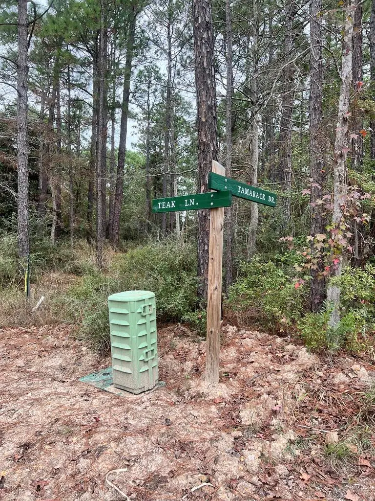 118 Teak Lane, Brookeland, TX 75931 - #2