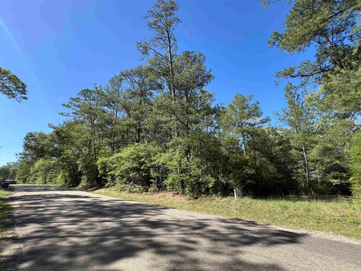 370 Cr 222, Brookeland, TX 75931 - #1