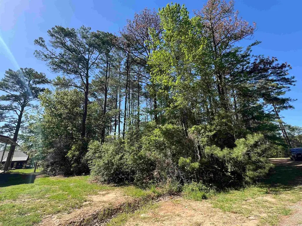 201 Post Oak Lane, Brookeland, TX 75931 - #1