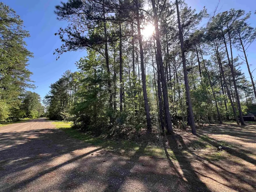 201 Post Oak Lane, Brookeland, TX 75931 - #2