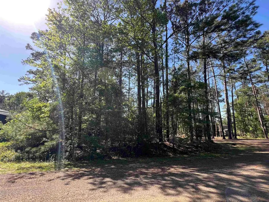 201 Post Oak Lane, Brookeland, TX 75931 - #3