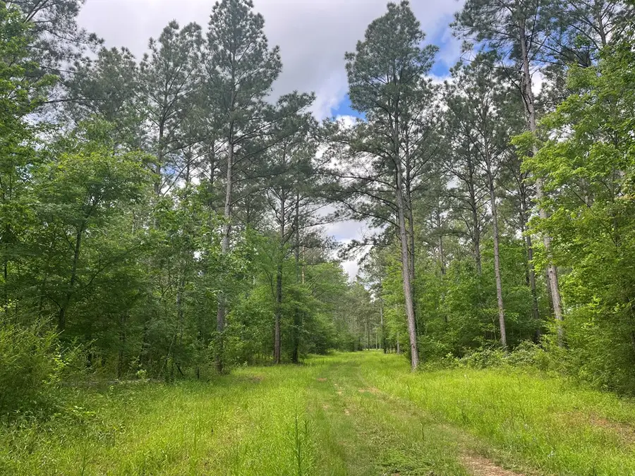 AB 36 Z REDMOND Us Hwy 103e, San Augustine, TX 75972 - #3