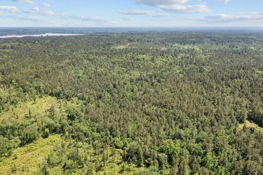 3994 County Road 774, Douglass, TX 75943 - #2