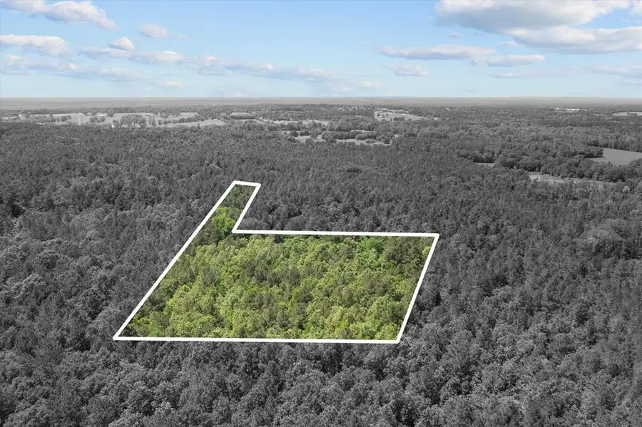 3994 County Road 774, Douglass, TX 75943 - #3