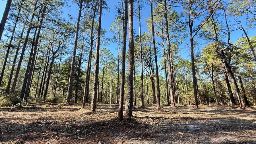 4546 Spruce Lane, Brookeland, TX 75931 - #3