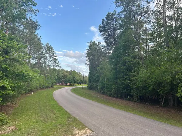 LOT 8 & 9 Wildwood Drive, Village Mills, TX 77663