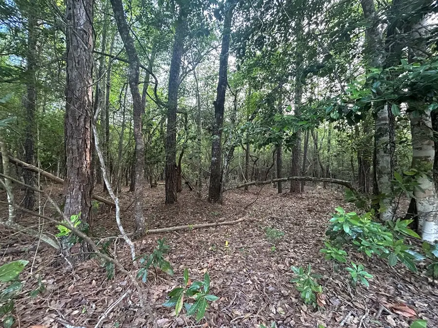 LOT 8 & 9 Wildwood Drive, Village Mills, TX 77663 - #3