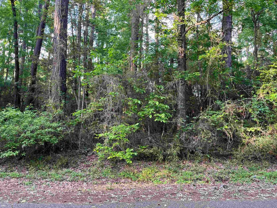 R000126851 Starboard Drive, Hemphill, TX 75948 - #3