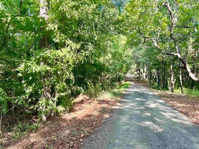 2260 Boyd Road, Bronson, TX 75930 - #3