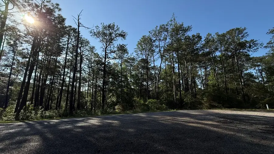 R032129 Pine Hollow Cove, Brookeland, TX 75931 - #2