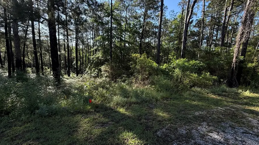 R032129 Pine Hollow Cove, Brookeland, TX 75931 - #3