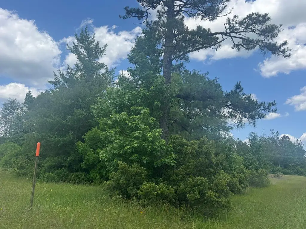 Lot 33 Raybo Drive, Kirbyville, TX 75956 - #1