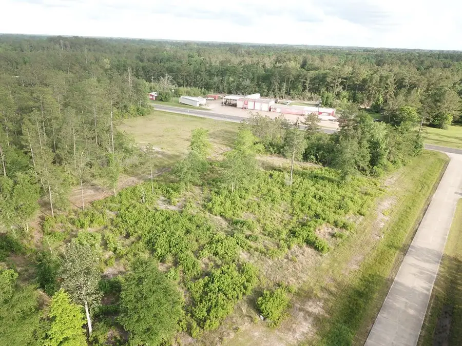 Lot 33 Raybo Drive, Kirbyville, TX 75956 - #2