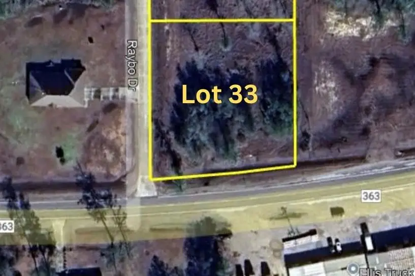 Lot 33 Raybo Drive, Kirbyville, TX 75956 - #3
