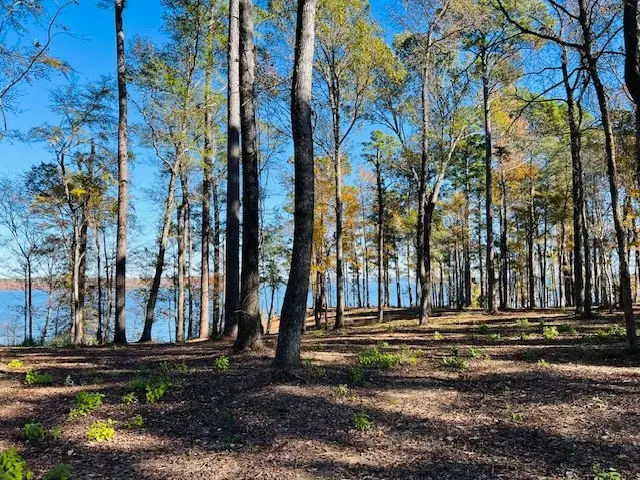 468 Mason Creek Rd, Milam, TX 75959 - #3