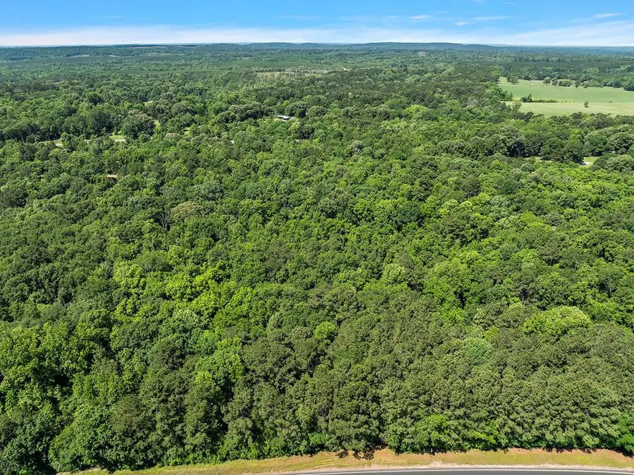 10 acres Hwy 69 South, Alto, TX 75925 - #3