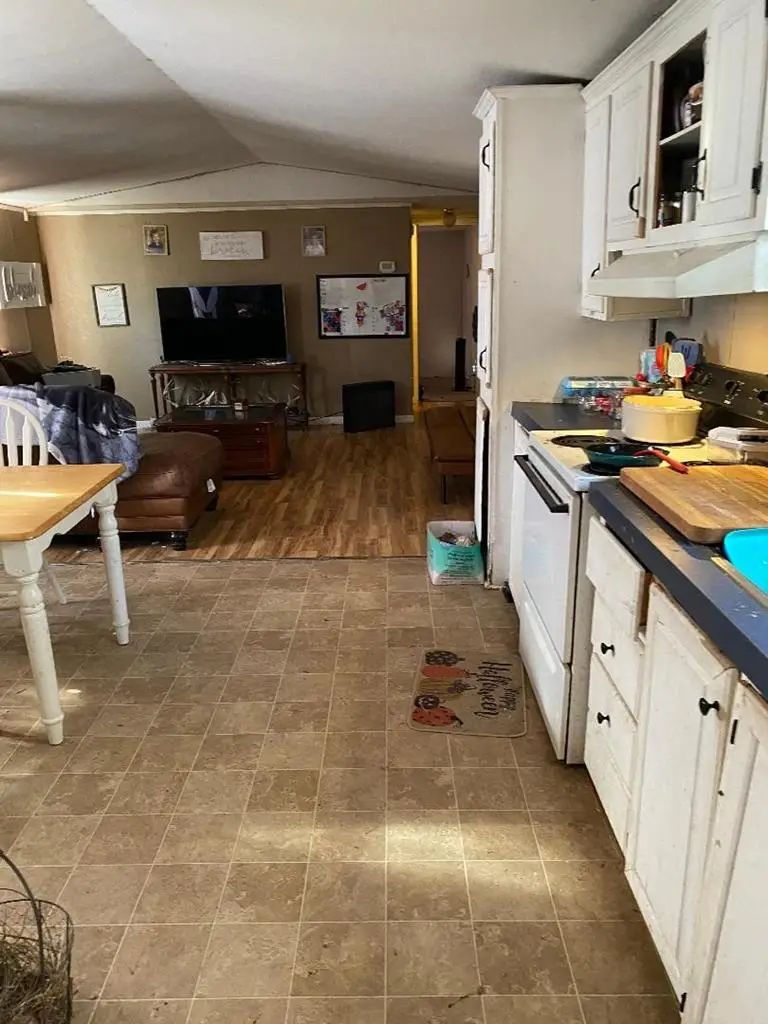 246 Gum Springs Rd, Pollok, TX 75969 - #2