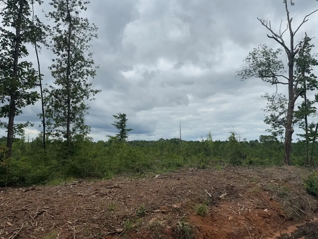 TBD Fm 777, Jasper, TX 75951 - #1