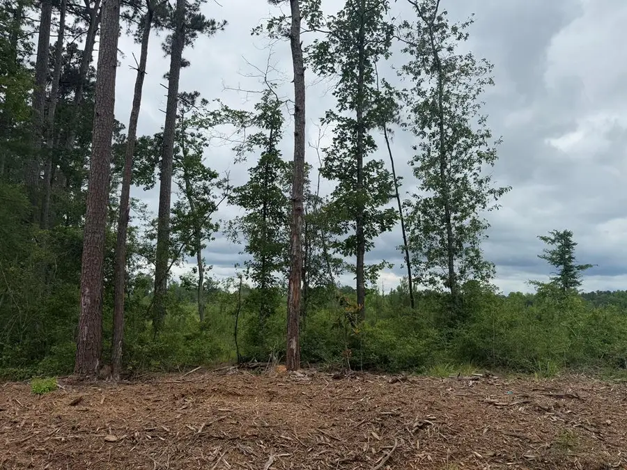 TBD Fm 777, Jasper, TX 75951 - #3
