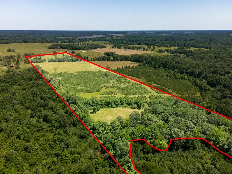 R13687 Cheeseland Road, Pollok, TX 75969 - #3