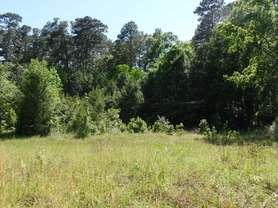 5185 Sh 21 E, Hemphill, TX 75948 - #3