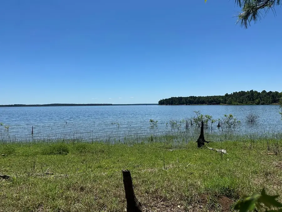 R12357 Lot 117 Fm 705, Broaddus, TX 75929 - #2