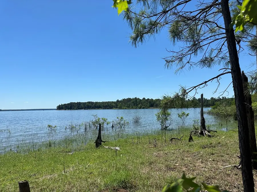 R12357 Lot 117 Fm 705, Broaddus, TX 75929 - #3