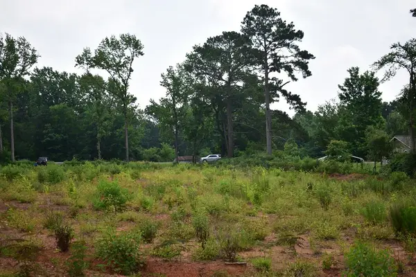 TBD- LOT 3 Us Hwy 259, Nacogdoches, TX 75965