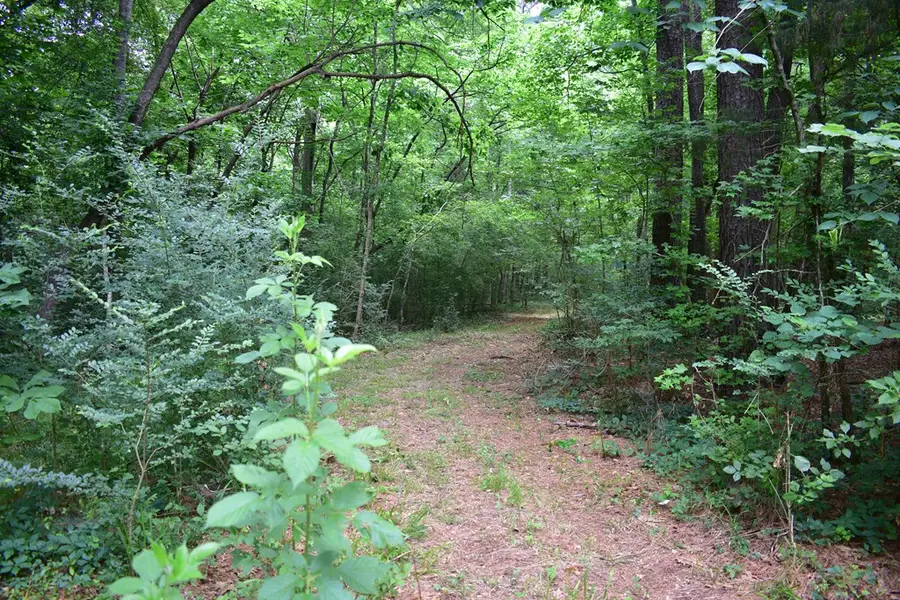 Lot26-31;36-41 Cr 508, Nacogdoches, TX 75961 - #2