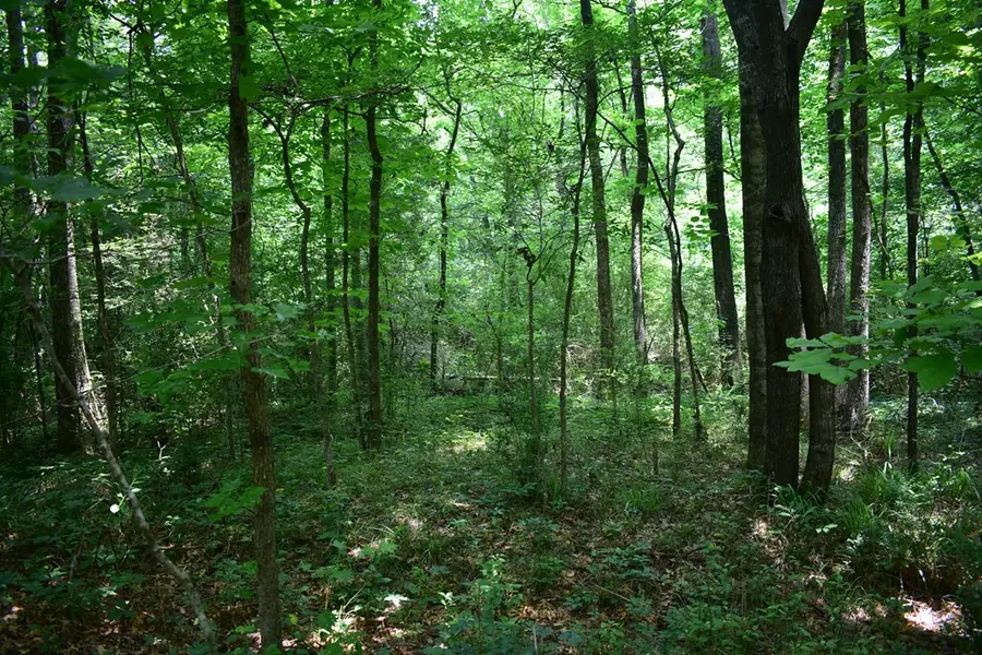 Lot26-31;36-41 Cr 508, Nacogdoches, TX 75961 - #3